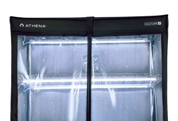 Athena VPDome - Imagen 6