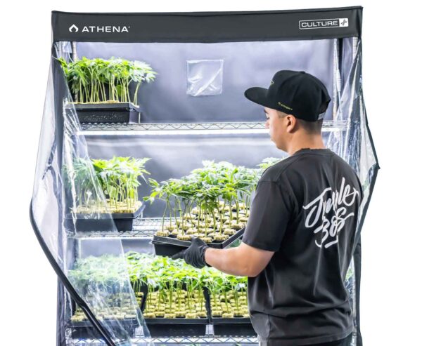 Athena VPDome - Imagen 3