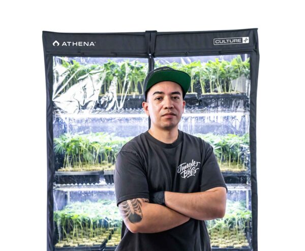 Athena VPDome - Imagen 4